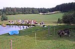 Jugendgruppe am Weiher