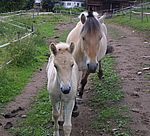 Raika mit Rapunzel 2002